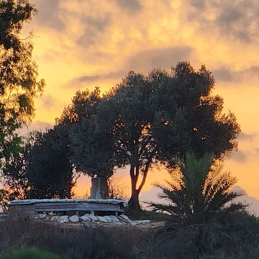 זריחה. צילום: ליאור רייזל