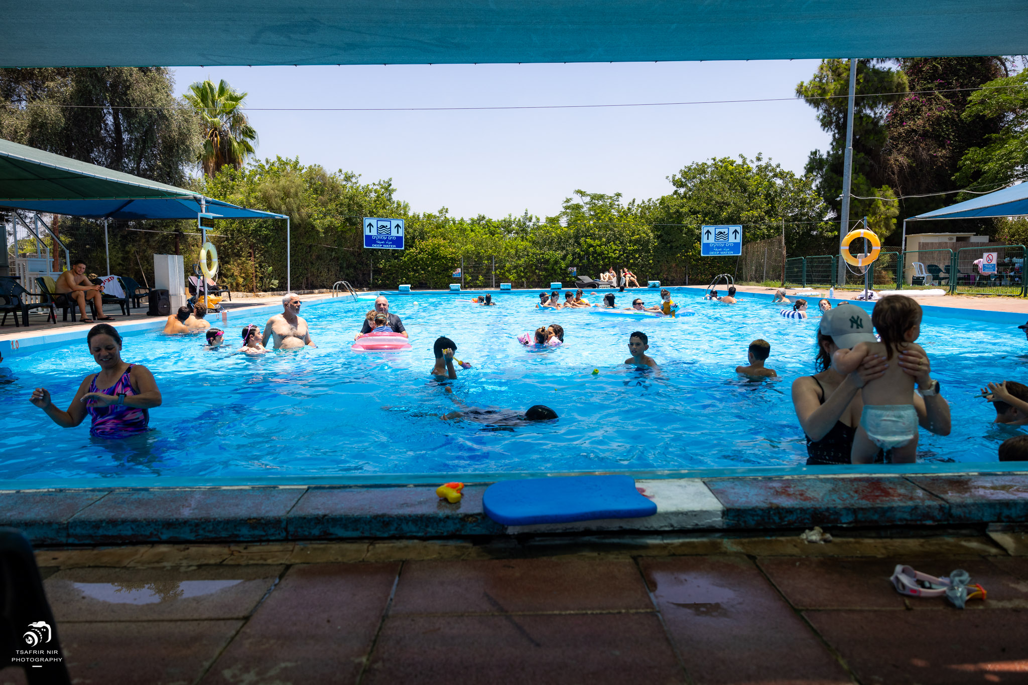 כיף בבריכה בקיבוץ. צילום: צפריר ניר