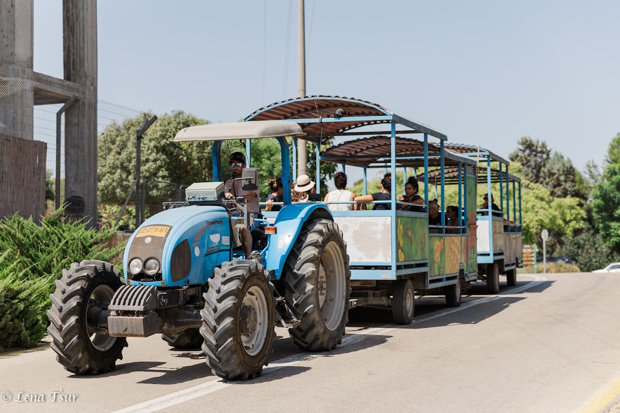 אירוע ההוקרה. צילום: לנה צור